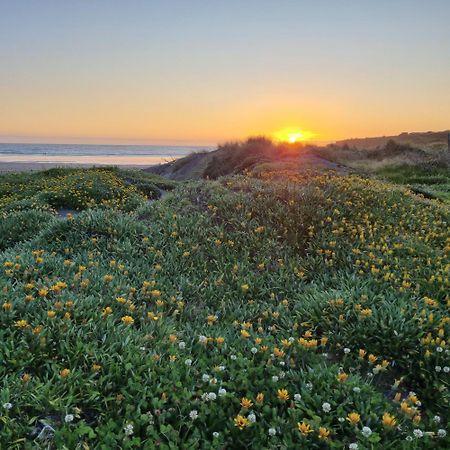 ホテル Opunake Beach Kiwi Holiday Park エクステリア 写真